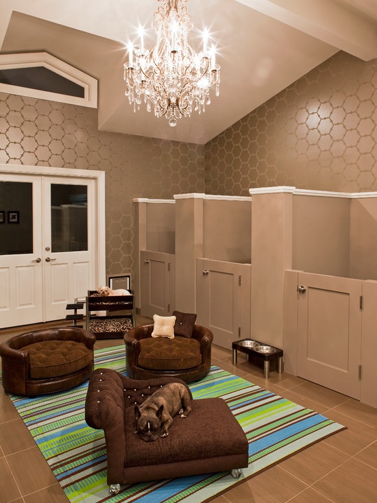 PETS AT HOME: DESIGNING DOG ROOMS - PAWSH MAGAZINE | A New Breed of Dog