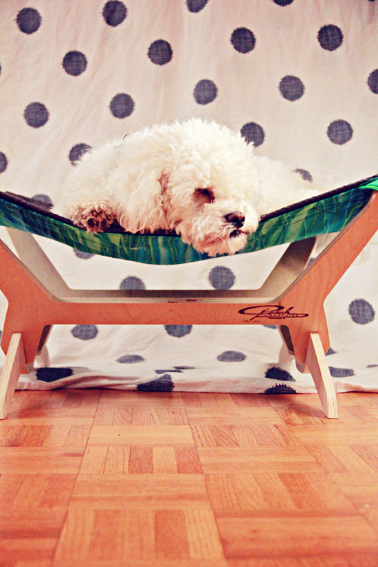 pet-bed-hammock-Pawsh-Magazine-2a