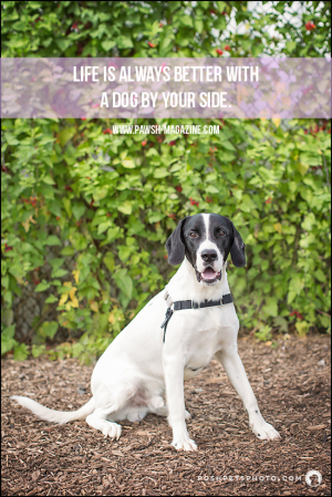 AS DOGS WOULD SAY: DOG QUOTE #18 – Pawsh Magazine