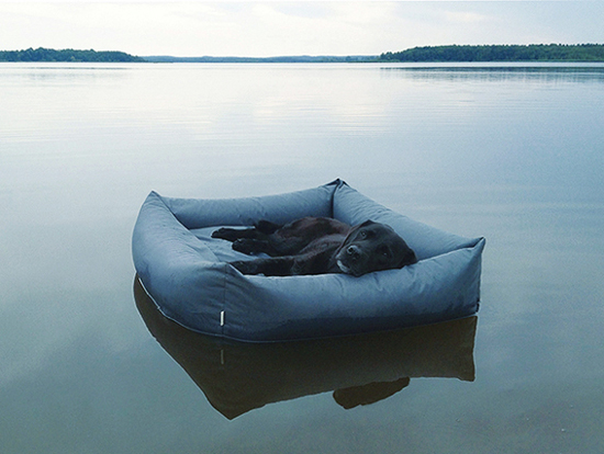 waterproof-dog-bed-Cloud-7-2