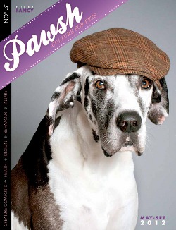 PAWSH05--cover2