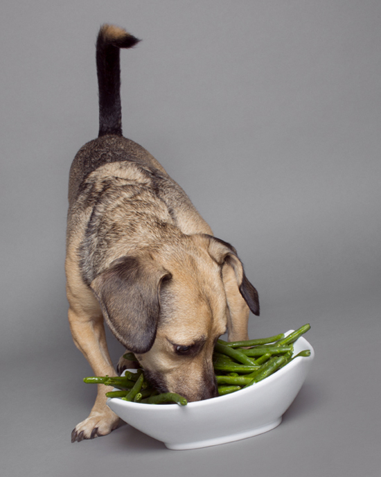 Pawsh-green-beans-for-dogs