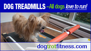 dog-treadmills-dogtrot-fitness-pawsh-magazine