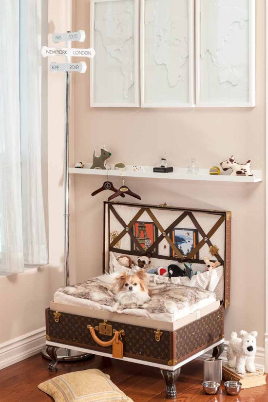 PETS AT HOME DESIGNING DOG ROOMS PAWSH MAGAZINE A New Breed of Dog Magazine