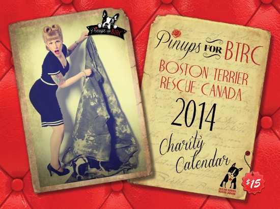 boston-terrier-calendar-cover