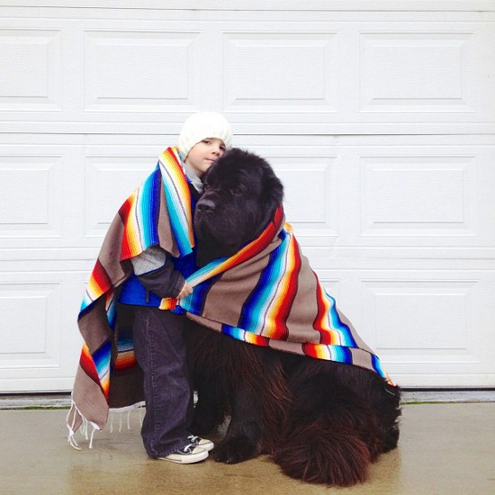 tibetan-mastiff-and-boy-3