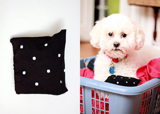 Diy crinkle dog toy hotsell