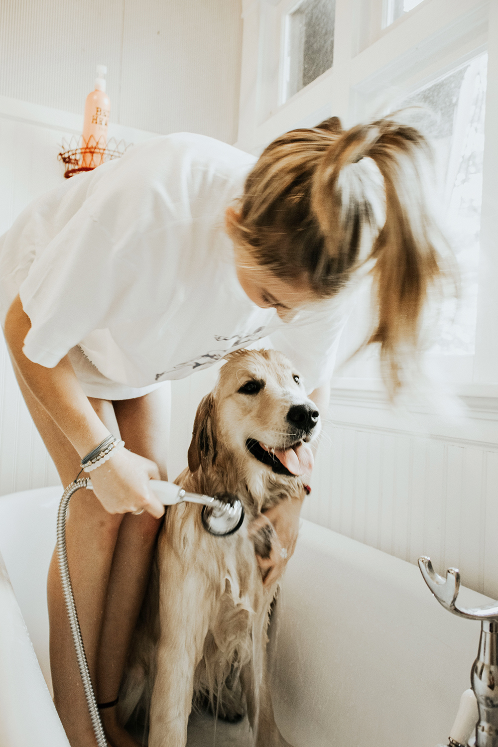 dogs and bathroom safety