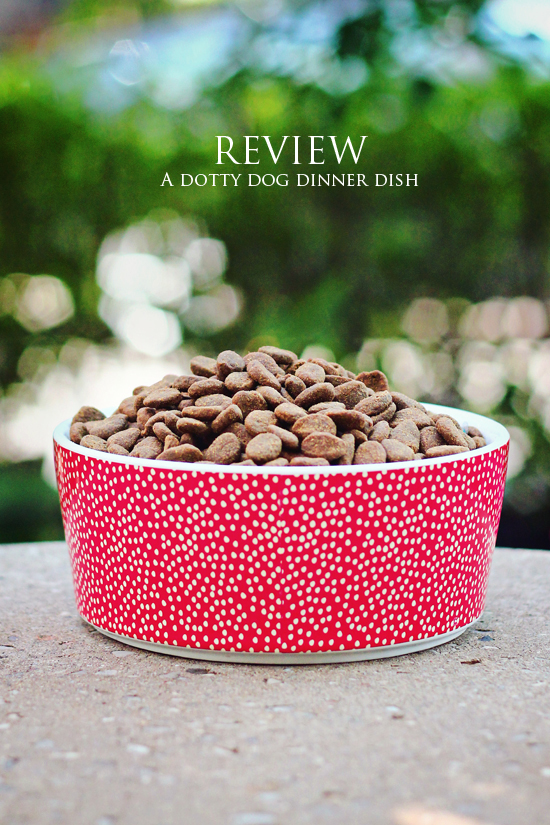 STYLISH DOG BOWLS WAGGO POLKA DOT DOG BOWL PAWSH MAGAZINE A