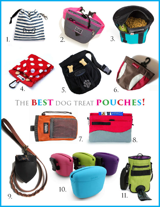 Best dog 2025 treat pouch