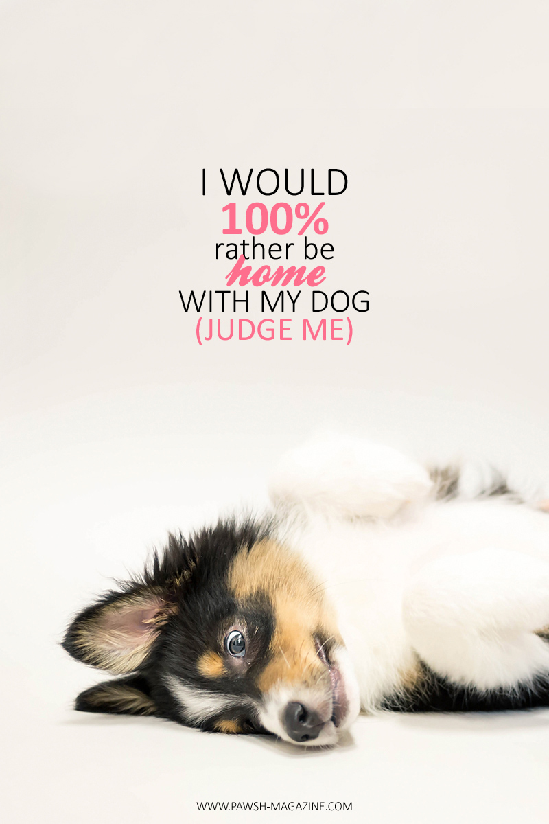 FUNNY DOG QUOTES: AS DOGS WOULD SAY 02 - PAWSH MAGAZINE | A New Breed of Dog  Magazine