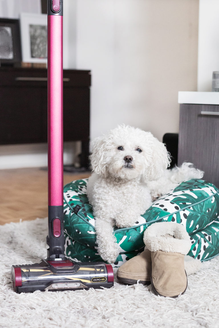 BEST VACUUM FOR PET HAIR TRAINING DOGS FOR VACUUMS PAWSH MAGAZINE A New Breed of Dog Magazine