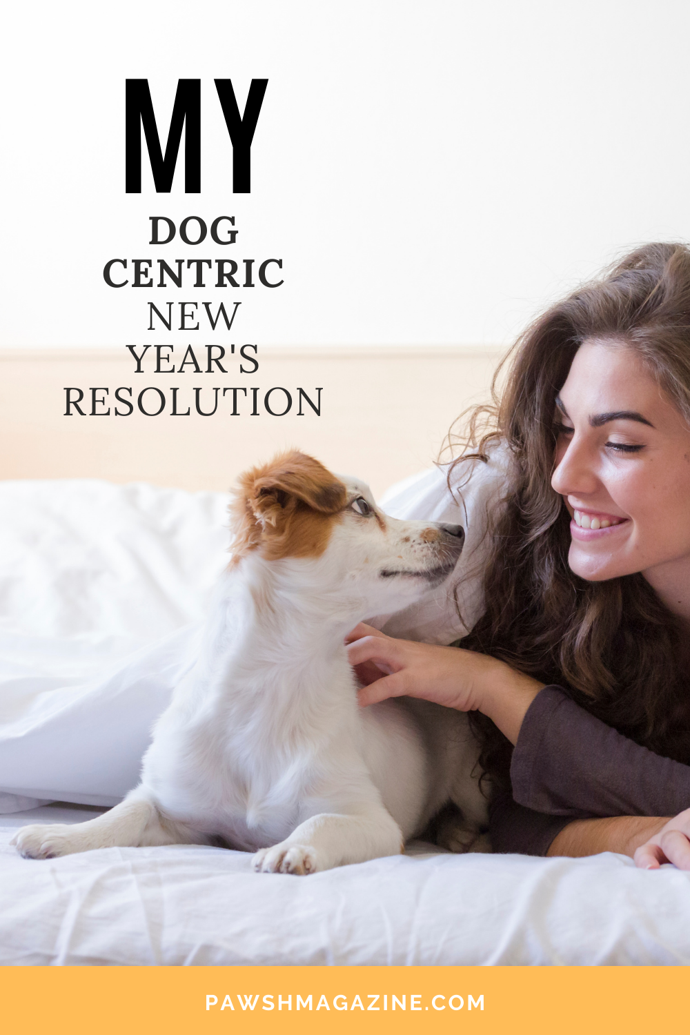 New Year, New Goals: 8 New Year's Resolutions for Your Pet - Vet in Fairfax  California