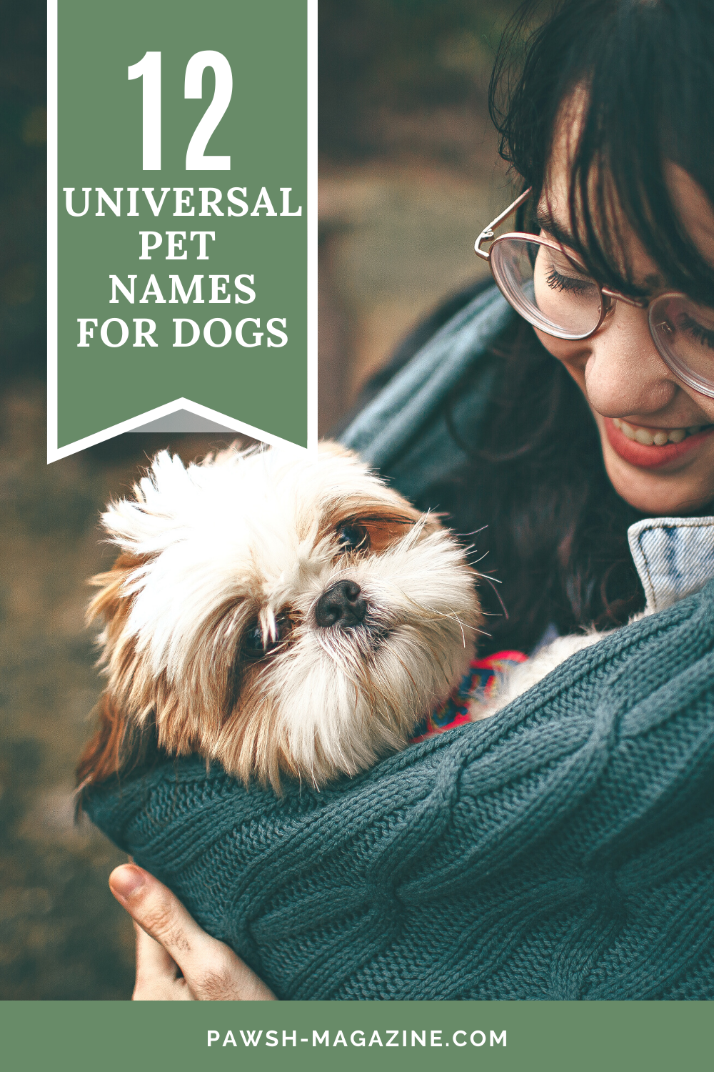 Universal dog store