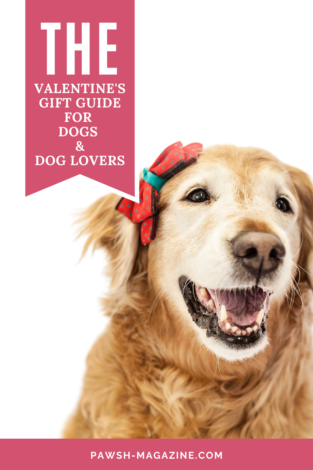 Valentines day store gifts for dogs